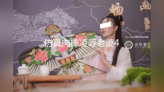 仿真肉棒凌辱老婆4