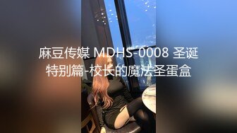 麻豆传媒 MDHS-0008 圣诞特别篇-校长的魔法圣蛋盒