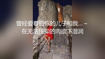 曾经爱着的你的儿子和我…～在无法压抑的肉欲下湿润