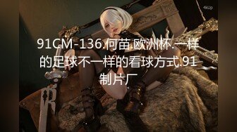 91CM-136.何苗.欧洲杯.一样的足球不一样的看球方式.91制片厂