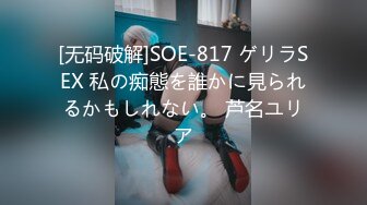 [无码破解]SOE-817 ゲリラSEX 私の痴態を誰かに見られるかもしれない。 芦名ユリア