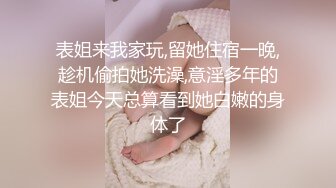 继续趁午休用仿真JJ插老婆