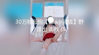 30万粉母狗【Ella小骚狐】野外露出 调教 (5)