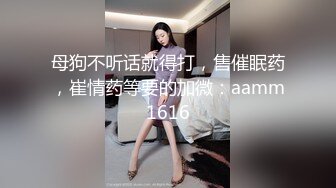 母狗不听话就得打，售催眠药，崔情药等要的加微：aamm1616