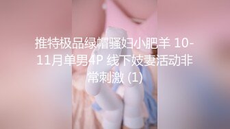 推特极品绿帽骚妇小肥羊 10-11月单男4P 线下妓妻活动非常刺激 (1)