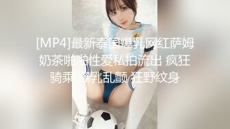 是个男人都无法抗拒的豪乳