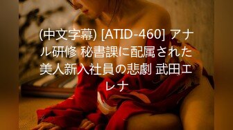 (中文字幕) [ATID-460] アナル研修 秘書課に配属された美人新入社員の悲劇 武田エレナ