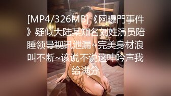 DA-004 大象传媒 火辣女同事的性感诱惑 李娜娜