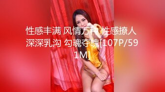 高清无水印珍藏版 高铁女神乘务员和靓丽的女乘客 (7)