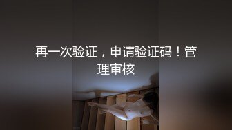 再一次验证，申请验证码！管理审核