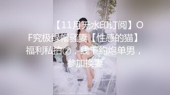 ⚫️⚫️【11月无水印订阅】OF究极绿帽骚妻【性感的猫】福利私拍②，线下约炮单男，参加换妻