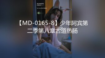 【MD-0165-8】少年阿宾第二季第八章古道热肠