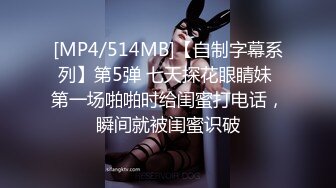 [MP4/ 1.02G]&nbsp;&nbsp; 鑫仔探花，抖音人气主播小姐姐，偶尔兼职做外围 极品美乳白又大，激情交合淫荡精彩