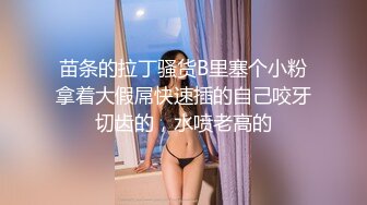 糖心Vlog 肉丝长腿女模下海记 淑怡