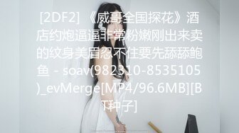 [2DF2] 《威哥全国探花》酒店约炮逼逼非常粉嫩刚出来卖的纹身美眉忍不住要先舔舔鲍鱼 - soav(982310-8535105)_evMerge[MP4/96.6MB][BT种子]