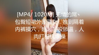 [MP4/ 493M] 新流出酒店高清偷拍小伙约炮极品高贵气质美女没能把持住几分钟就射了简直是暴殄天物