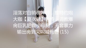 STP31048 国产AV 起点传媒 性视界传媒 XSJ155 宝可梦之穿梭在银河的火箭队 沈湘妮(湘湘)