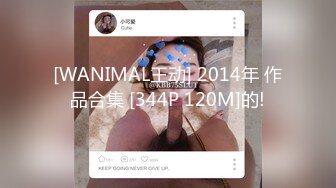 [WANIMAL王动] 2014年 作品合集 [344P 120M]的!