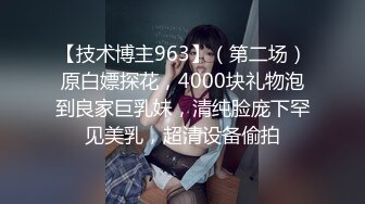 [MP4]良家极品美少女性感短裙手拿小鞭子肉感身材蹲地深喉灰丝高跟鞋