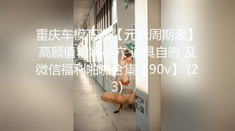 STP30976 红斯灯影像 RS-029 初恋之晴道与野英的性爱特辑-温芮欣