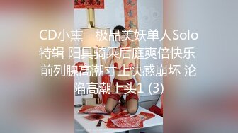 CD小熏✨ 极品美妖单人Solo特辑 阳具骑乘后庭爽倍快乐 前列腺高潮寸止快感崩坏 沦陷高潮上头1 (3)