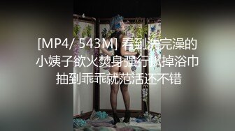 [18禁] 出包王女同人 小闇 とらぶるだいあり～ごーるど 電影版