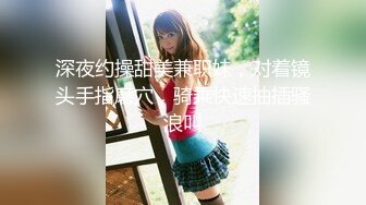 [MP4]星空传媒-律政俏佳人猎艳迷案女律师惨遭强暴-夏晴子