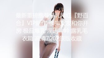 最新重磅推荐爆乳网红『野百合』VIP新作-模拟女友和你开房 极品爆乳 淫语呻吟 露乳毛衣篇 高清720P原版收藏