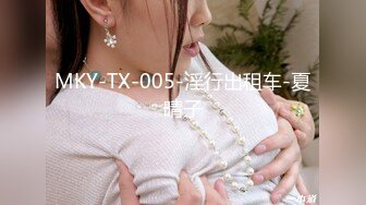 MKY-TX-005-淫行出租车-夏晴子