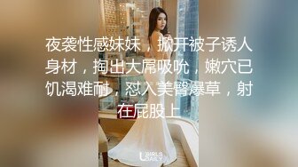 骚老婆，网袜