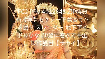 FC2 PPV 4012848 ZIP特典有【無】セクシー下着姿でハメ撮り スレンダー 地下アイドルひな 20歳に着衣で中出し 12作品目【サカイ】