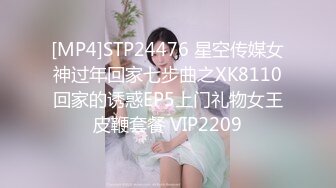 [MP4]STP24476 星空传媒女神过年回家七步曲之XK8110回家的诱惑EP5上门礼物女王皮鞭套餐 VIP2209