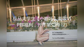 极品大学生【小哪吒】高级VIP群福利，开年第二弹 (2)