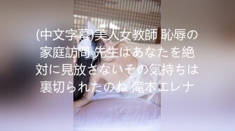 (中文字幕)美人女教師 恥辱の家庭訪問 先生はあなたを絶対に見放さないその気持ちは裏切られたのね 滝本エレナ