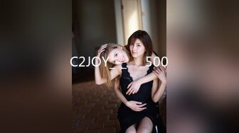 C2JOY_-_비타500