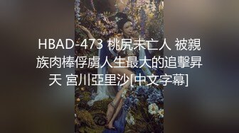 HBAD-473 桃尻未亡人 被親族肉棒俘虜人生最大的追擊昇天 宮川亞里沙[中文字幕]