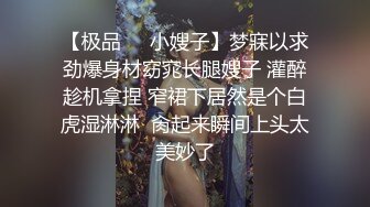 充满责任感的欲求不满看护