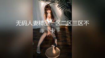 无码人妻精品一区二区三区不卡