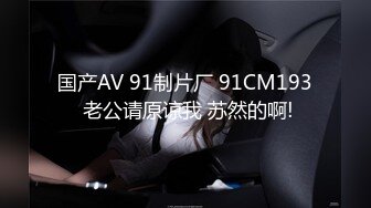 国产麻豆AV MD MD0144 无法忘怀的性事 前女友婚前偷情 苏畅