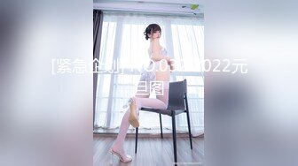 [紧急企划] NO.032 2022元旦图