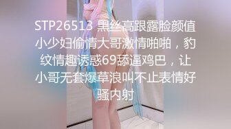 STP26513 黑丝高跟露脸颜值小少妇偷情大哥激情啪啪，豹纹情趣诱惑69舔逼鸡巴，让小哥无套爆草浪叫不止表情好骚内射