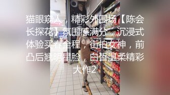 猫眼窥人，精彩外围场【陈会长探花】氛围感满分，沉浸式体验买春全程，街拍女神，前凸后翘明星脸，白皙温柔精彩大作2