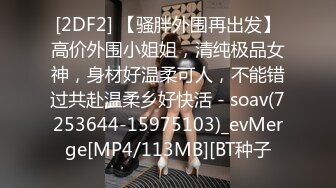 [2DF2] 【骚胖外围再出发】高价外围小姐姐，清纯极品女神，身材好温柔可人，不能错过共赴温柔乡好快活 - soav(7253644-15975103)_evMerge[MP4/113MB][BT种子