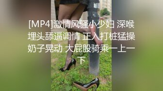 [MP4]激情风骚小少妇 深喉埋头舔逼调情 正入打桩猛操奶子晃动 大屁股骑乘一上一下