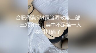 合肥母狗SM露脸调教第二部：三穴齐开，美中不足第一人称时打码了