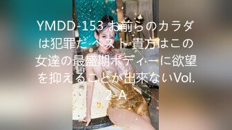 YMDD-153 お前らのカラダは犯罪だ ベスト 貴方はこの女達の最盛期ボディーに欲望を抑えることが出來ないVol.2-A