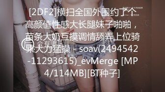 [MP4/ 552M] 超正的大奶子，小少妇一个人在家诱惑狼友，超级美乳撅着屁股掰开骚逼给狼友看骚穴自慰