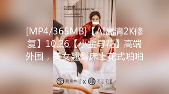 [MP4/365MB]【AI高清2K修复】10.26【小宝寻花】高端外围，美女翘臀床上花式啪啪