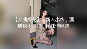 【文曲探花】，新人小伙，酒店约小少妇，网袜情趣装