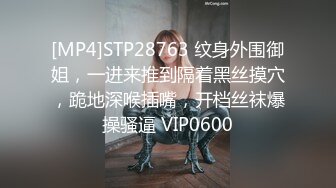 [MP4]STP28763 纹身外围御姐，一进来推到隔着黑丝摸穴，跪地深喉插嘴，开档丝袜爆操骚逼 VIP0600